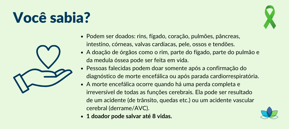 Affix Blog - Curiosidades Setembro verde